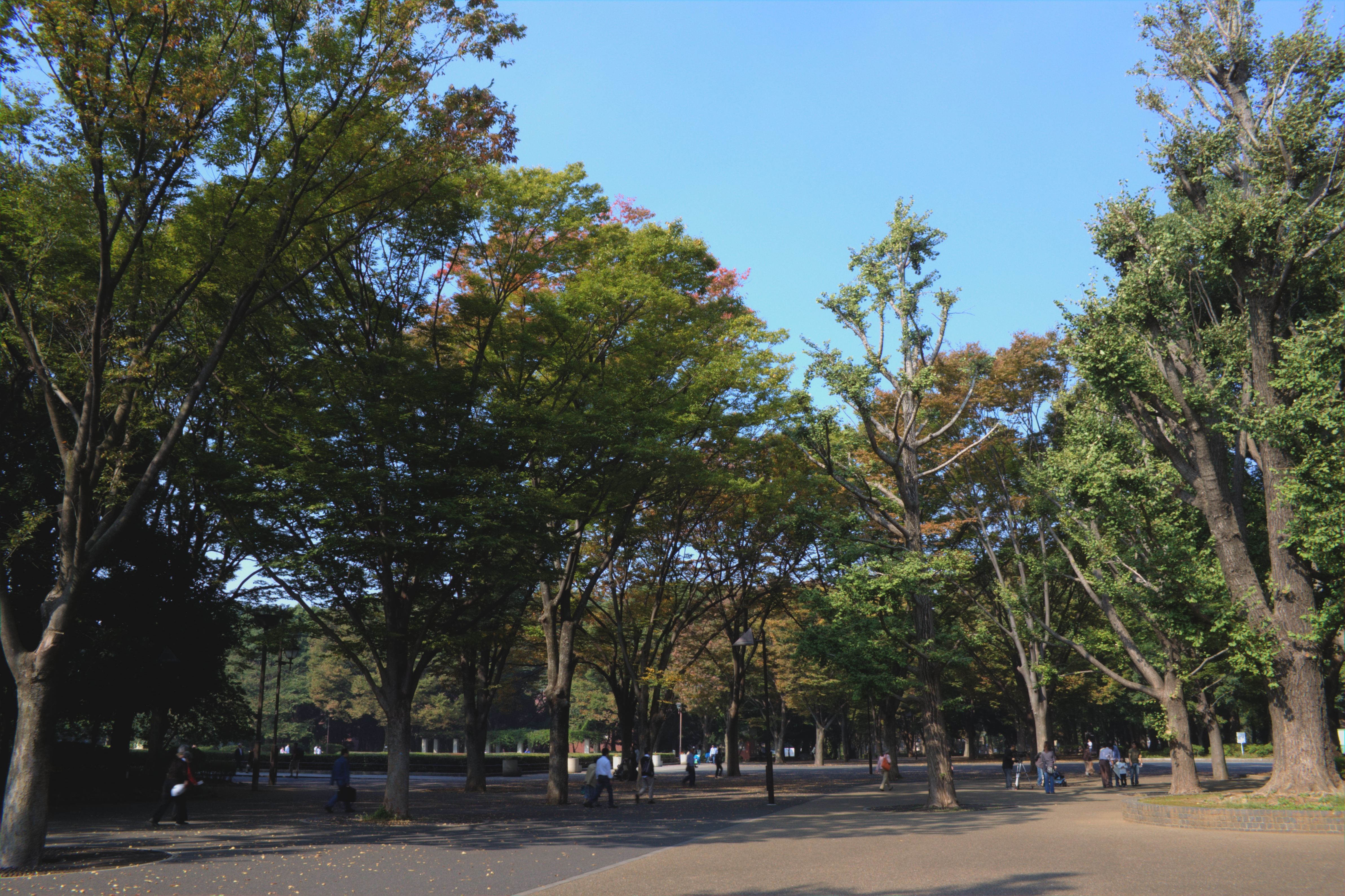 Ueno Park