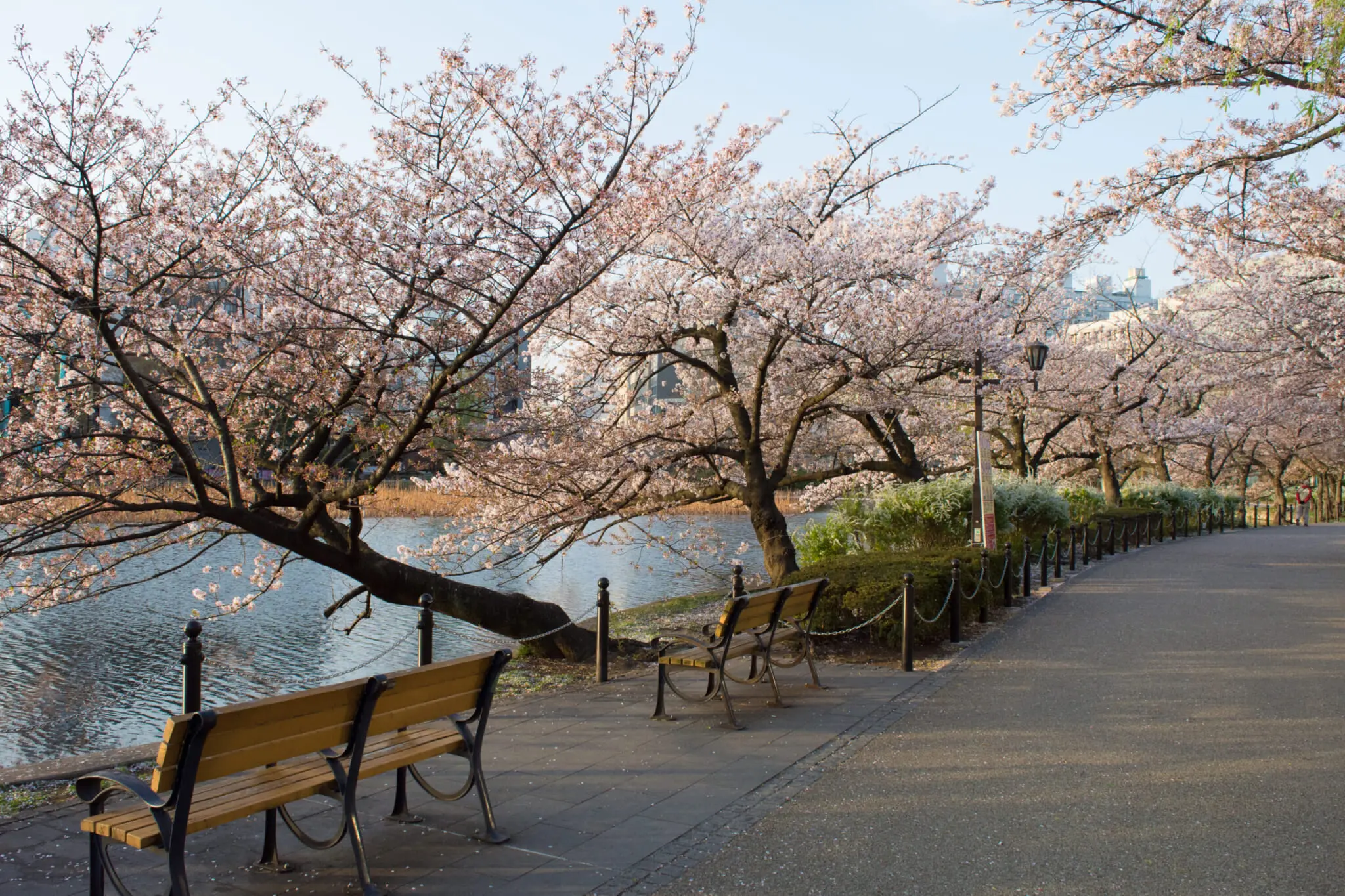 Ueno Koen